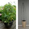 Flexible Edelstahl Rankhilfe für Pflanztöpfe und Garten